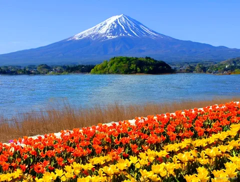 Village traditionnel de Saiko Iyashi-no-Sato Nenba sur une excursion économique au Mont Fuji