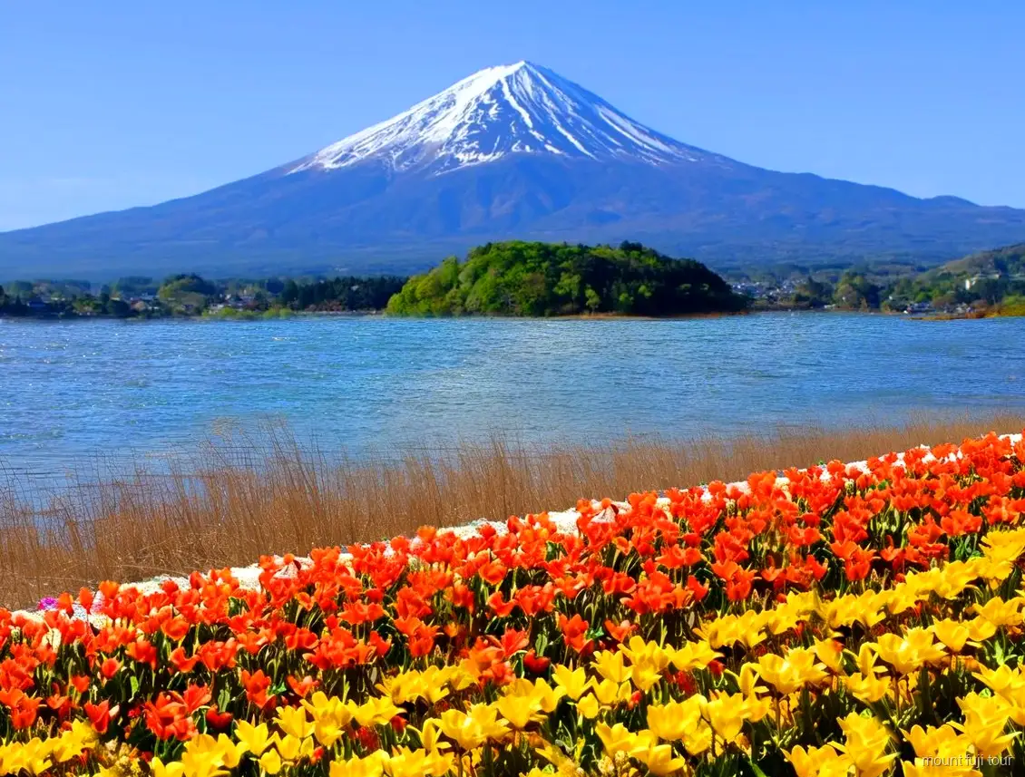 Village traditionnel de Saiko Iyashi-no-Sato Nenba sur une excursion économique au Mont Fuji