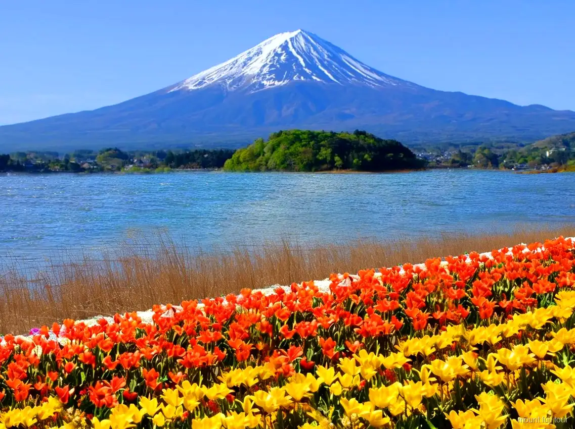 Saiko Iyashi-no-Sato Nenba Traditionsdorf auf einer günstigen Mount Fuji Tour