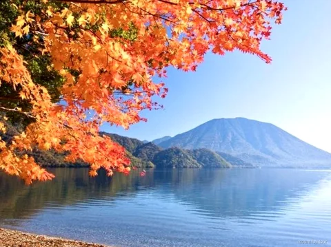 Aokigahara Wald, gewachsen über den alten Lavaströmen des Mount Fuji