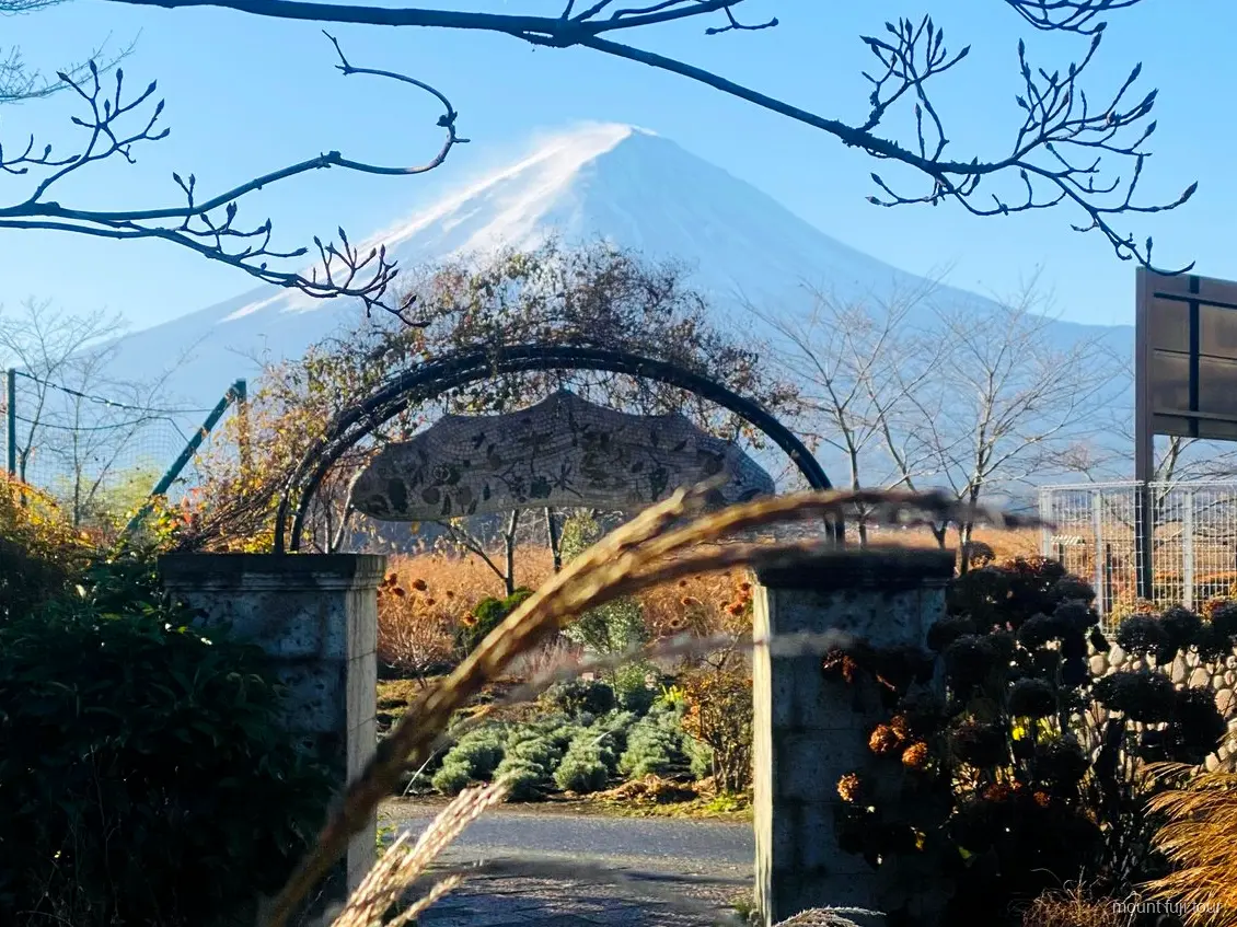 Private vehicle used for a Mount Fuji day tour from Tokyo