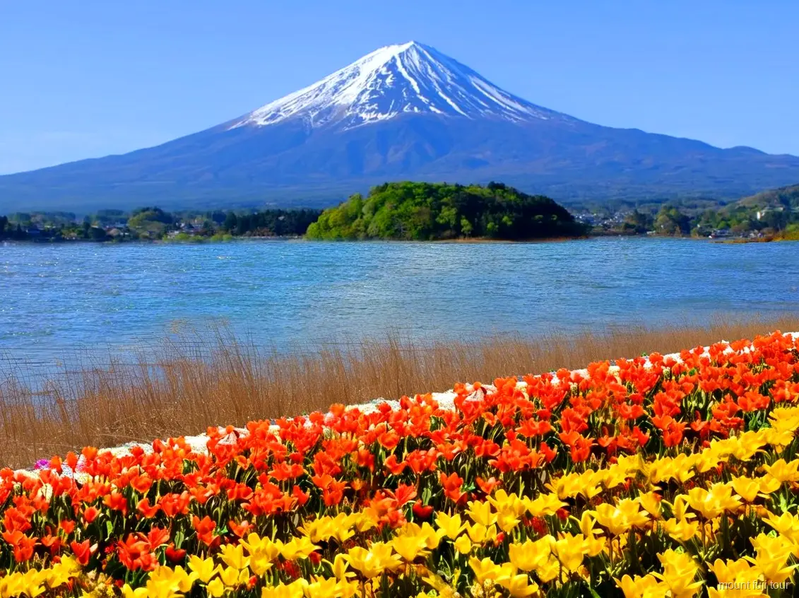Saiko Iyashi-no-Sato Nenba traditional village on a budget Mount Fuji tour