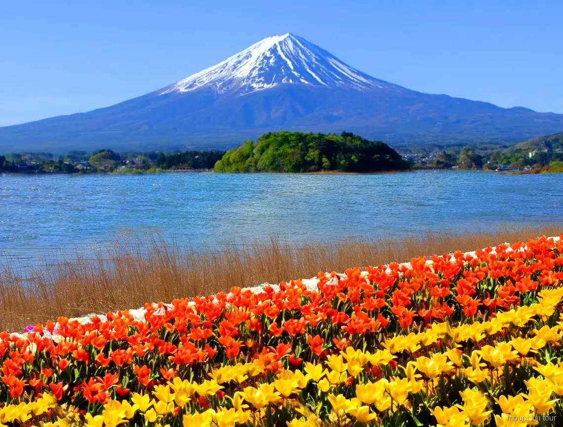 Villaggio tradizionale di Saiko Iyashi-no-Sato Nenba durante un tour economico al Monte Fuji