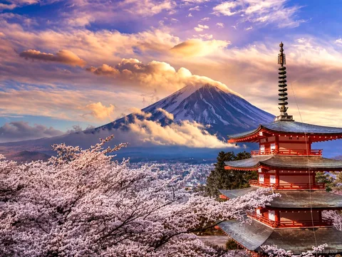 Vista del tour privado al Monte Fuji desde el lago Kawaguchiko