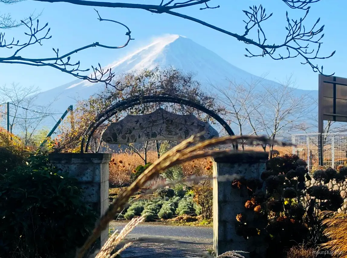 Vehículo privado usado en un tour de un día al Monte Fuji desde Tokio