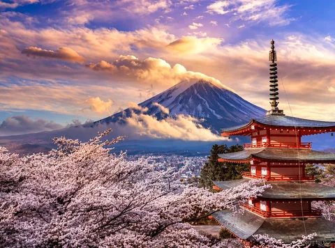 Vista del Monte Fuji dal Lago Kawaguchiko durante un tour privato