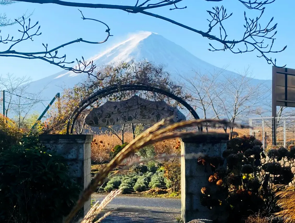 Veicolo privato utilizzato per un tour giornaliero al Monte Fuji da Tokyo